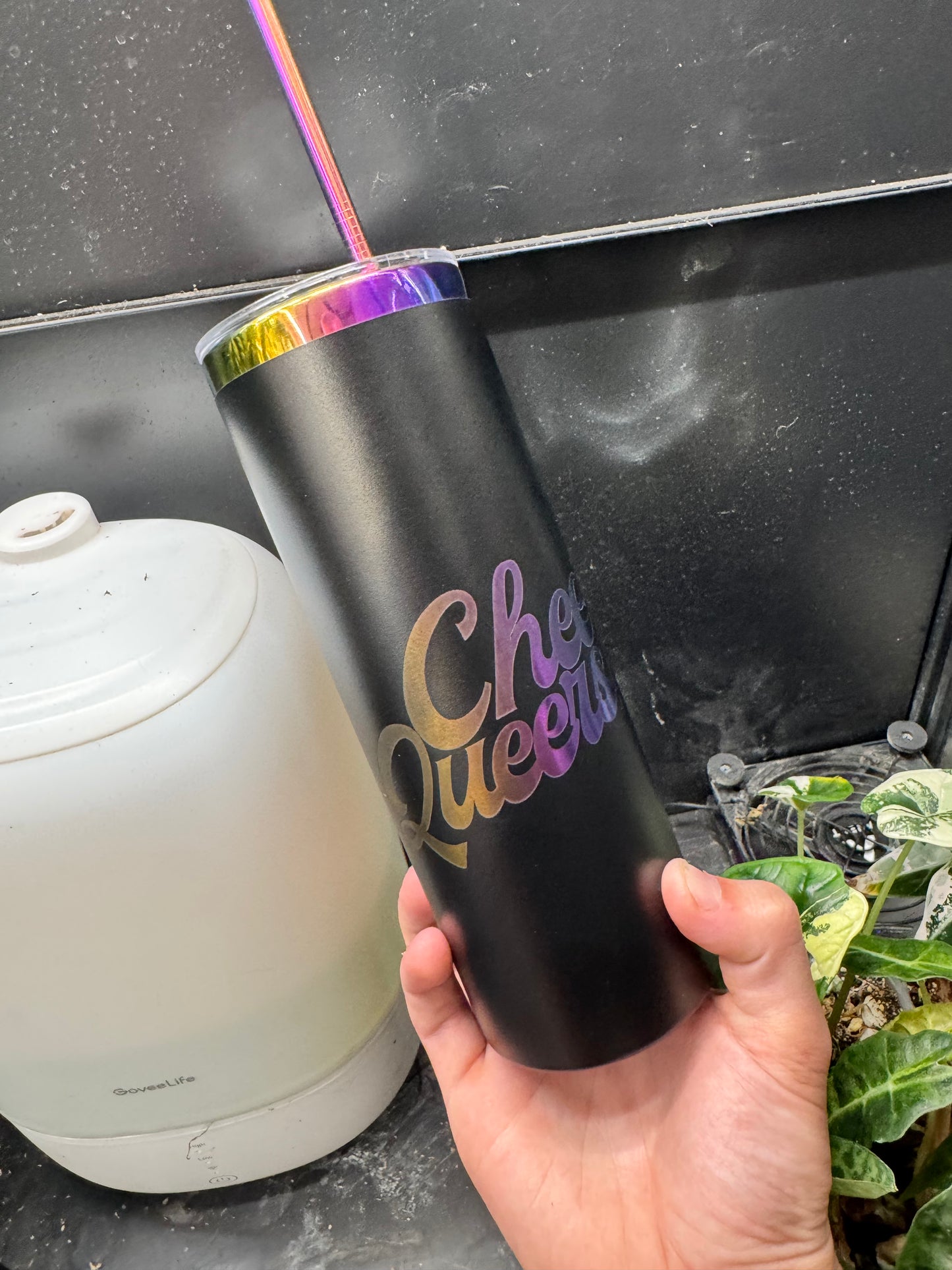 Cheers Queers Rainbow/Black